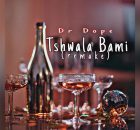 Dr Dope- Tshwala Bami (Remake)