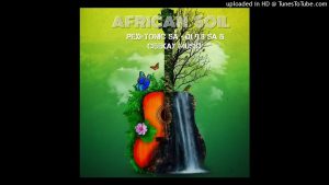 African Soil Instrumental - Pexi Tonic SA ft Dj 9.8 SA & Ceekay Musiq