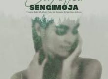 Citykingrsa – Sengimoja