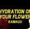 Garden (Lyrics) Hydration On Your Flower Blossom For Me