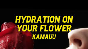 Garden (Lyrics) Hydration On Your Flower
