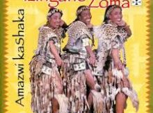 Izingane Zoma - Udidwa Yini