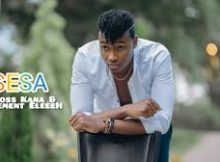 Element Eleeeh Ft Ross Kana – SESA