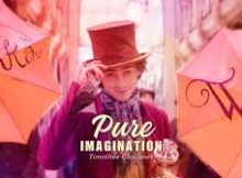 Timothée Chalamet – Pure Imagination from Wonka