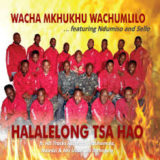 Wacha Mkhukhu Wachumlilo All Songs Fakaza MP3 Download