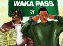 Ysmahnraster – Waka Pass