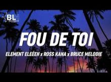 Element Eleeeh – Fou De Toi Ft Ross Kana X Bruce Melodie