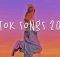 Xxnamexx Song Tiktok 2023 English Remix 2024 (Audio)