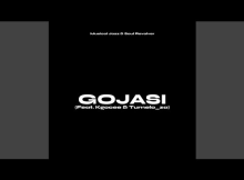 VaultSA – Gojasi