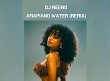 DJ Neeno – Been A Few Hours Remix