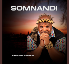 Somnandi & Thokozani Langa – NGAWA NGASHELELELA
