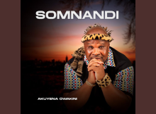 Somnandi & Thokozani Langa – NGAWA NGASHELELELA