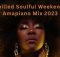 Chilled Soulful Weekends Amapiano Mix 2024