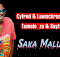 Cyfred & Leemckrazy feat Tumelo_za & Sayfar - Saka Malume