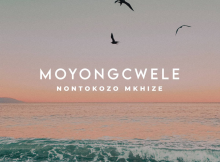 Nontokozo Mkhize - Moyongcwele