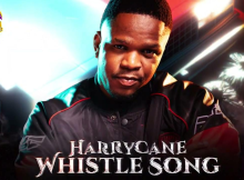 Whistle Song Amapiano - Harry Can