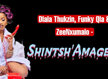 Dlala Thukzin, Funky Qla & Zee Nxumalo - Shintsh’Amagear