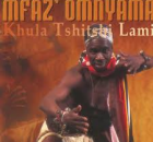 Khula Tshitshi Lami - Mfaz' Omnyama