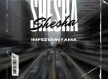 Imfezemnyama - Shesha