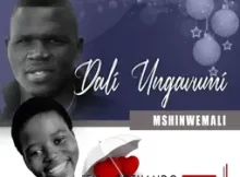 Mshiniwemali – Dali Ungavumi