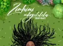 Zimbini - Yitshoni