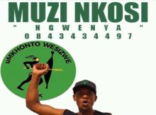 Muzi Nkosi – Umkhonto we sizwe songs