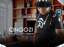 Cingozi – Iphakathi kwemilenze (feat. Saliwa)
