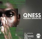 Dj Qness - Pfugama Unamathe ft. Oluhle & Aero Manyelo