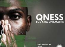 Dj Qness - Pfugama Unamathe ft. Oluhle & Aero Manyelo