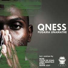 Dj Qness - Pfugama Unamathe ft. Oluhle & Aero Manyelo