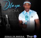Dlaya Nyoka – Xikalu xa Makula