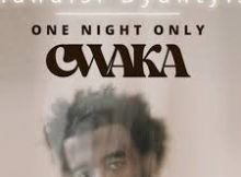 Mandisi Dyantyis - CWAKA "One Night Only"