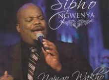 Sipho Ngwenya - The Pillar