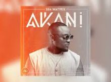 Soa Mattrix – Akani (Album 2024)