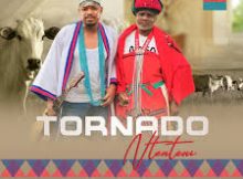 Tornado Ntenteni – Inkomo zamaGcaleka