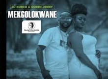 Decouple SA – Mekgolokwane