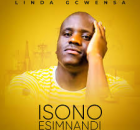 Linda Gcwensa - Isono Esimnandi Album