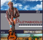 Diliz’mabhodlo – Izinto Zimane Ukwenzeka