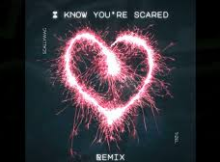 Scallywag - I Know You're Scared (Tizel Official Remix)