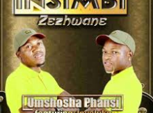 Insimbi Zezhwane New Album & Songs