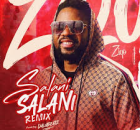 Ziqo – Salani Salani (Remix)