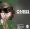DJ Qness – Fugama Unamathe