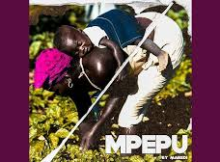 Maredi - MPEPU Album