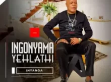 Ingonyama yehlathi – Ukuphi dali Ft Inkos' yamagcokama