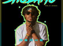 Asake - Shodamo (Song)