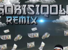 Bhizer – Gobisiqolo Remix