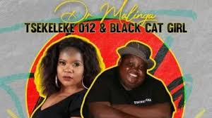 Dr Malinga – Tsekeleke  ft. Tsekeleke 012 & Black Cat Girl