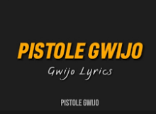 Jehova Ngikhumbule Nami Gwijo lyrics