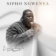 Sipho Ngwenya - Liyabasebenzela