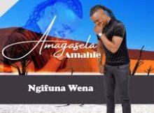 Stabhilithi – Amagasela Amahle (Ngifuna Wena) Album